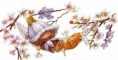 /album/victoria-plum/a4a-jpg/